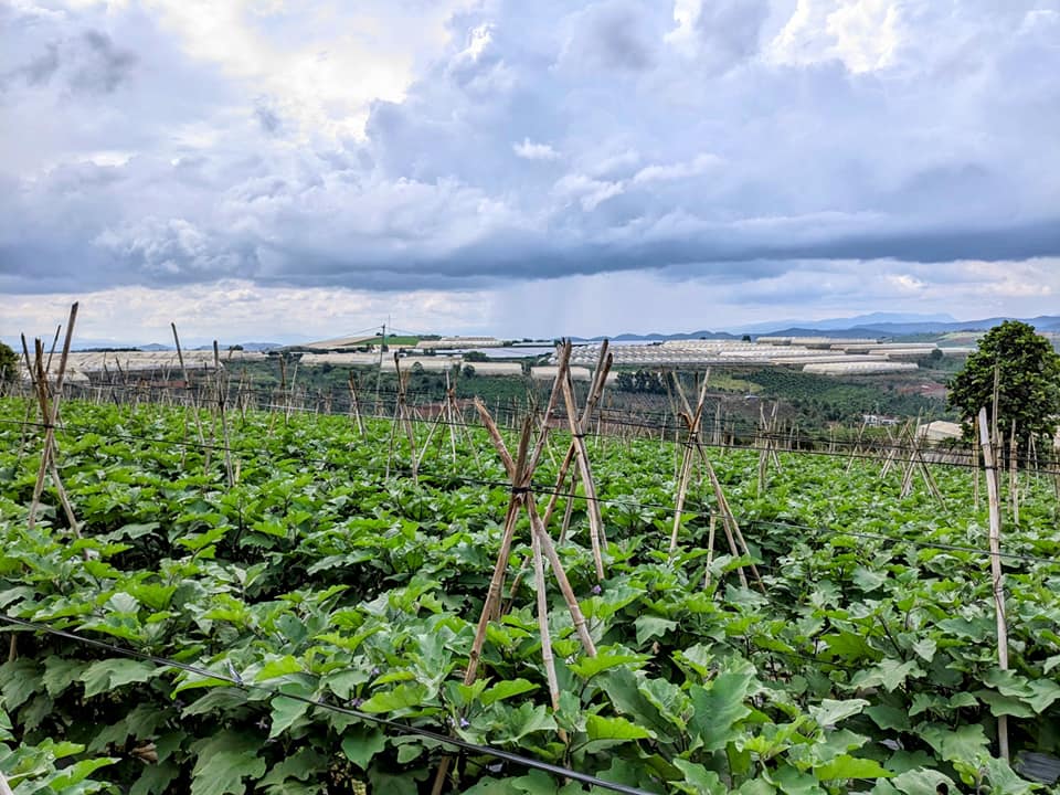 Đất nền 7000m² tại thôn Soop, xã Tà Hine, Lâm Đồng - View đẹp, giá 2.7 tỷ!