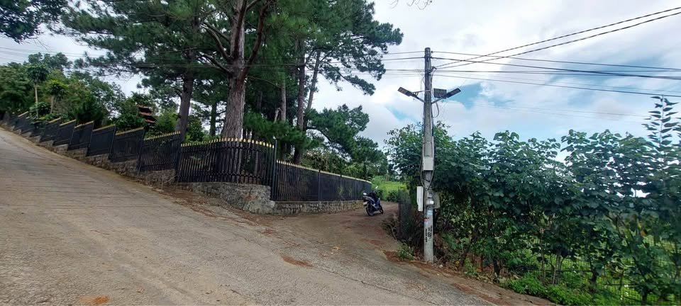 Đất farm 7 sào tại Núi Voi - Hiệp An 6.439m² giá 11 tỷ - Cơ hội đầu tư lý tưởng!