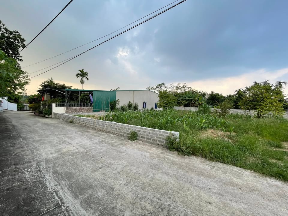 Đất nghỉ dưỡng 713m² tại Thôn Đức Thịnh, Ba Vì, giá chỉ 3 tỷ - Pháp lý rõ ràng!