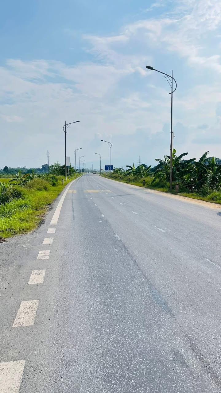 Đất mặt đường Quốc lộ 70B, Tam Nông, 130m² - Phù hợp kinh doanh đắc địa!