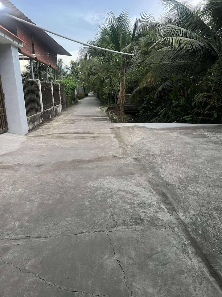 Đất vườn dừa 5,5 công tại Nhị Bình, Tiền Giang - Giá chỉ 4.225 tỷ VND, thương lượng ngay!