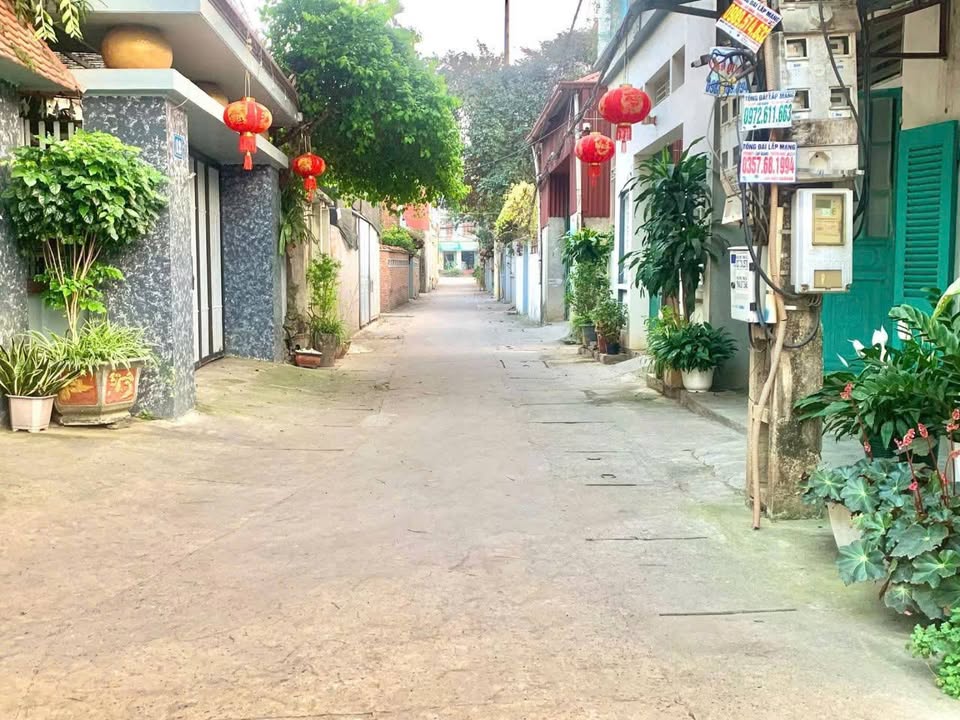 Lô đất đẹp 118m² phố Thanh Vị, phường Sơn Lộc, Sơn Tây giá 3 tỷ - Cơ hội đầu tư sinh lời!