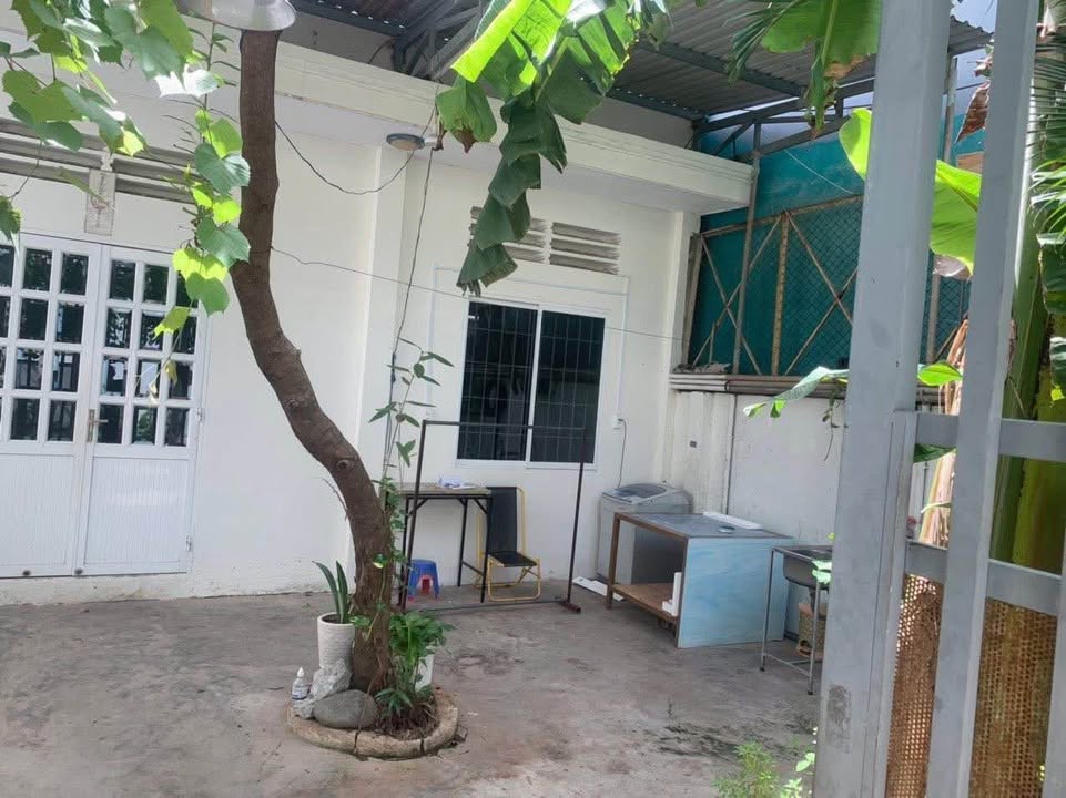 Nhà vườn cho thuê đường Trương Công Định, Vũng Tàu - Giá 4 triệu/tháng, không gian thoáng đãng!