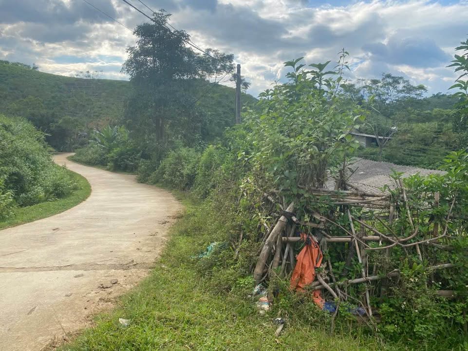 Đất nền Tân Sơn, Phú Thọ 800m² giá chỉ 600 triệu - Cơ hội đầu tư tuyệt vời!