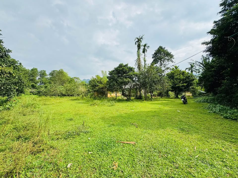 Đất nền Nam Thượng - Kim Bôi 2000m² giá 3 tỷ - Tiện ích đầy đủ, đầu tư lý tưởng!