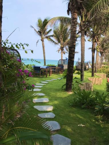Bán Resort Đường Nguyễn Phan Vinh, Cẩm An 1800m² giá 150 tỷ - Doanh thu khủng 2 tỷ/tháng!