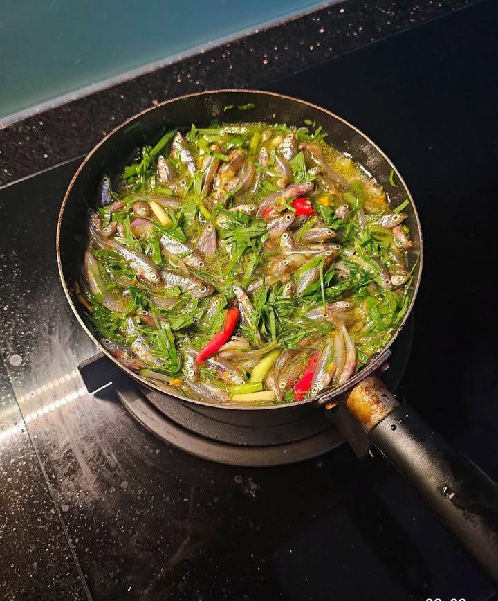 Đất nền Khối phố Mỹ Hòa, thị trấn Nam Phước 175m² giá 1 tỷ - Đầu tư sinh lời ngay!