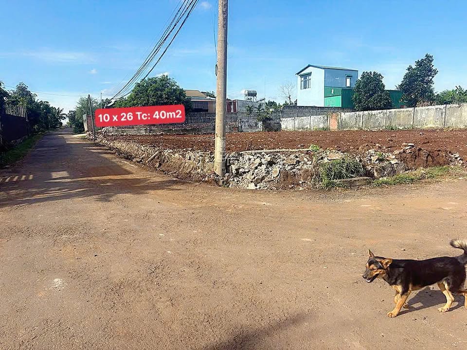 Đất mặt tiền đường nhựa Ea Kao, Đắk Lắk 260m² giá 1.5 tỷ - Đầu tư sinh lời ngay!