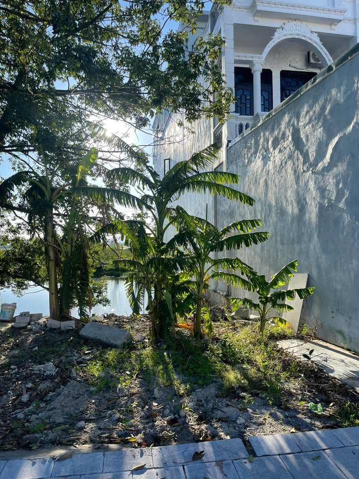 Lô đất Quảng Thịnh, Thanh Hóa 99m² giá 3.05 tỷ - Vị trí kinh doanh đắc địa!