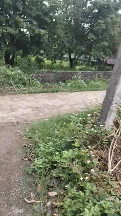 Đất nền Nhuận Trạch, Lương Sơn 110m² giá 1 tỷ - Cơ hội đầu tư hấp dẫn!