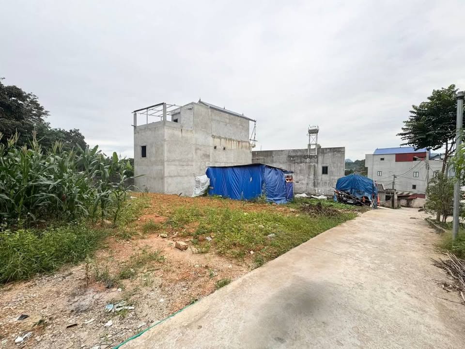 Đất nền Tam Thanh Lạng Sơn 88m² giá 700 triệu - Đường ô tô rộng rãi, dân cư đông đúc!