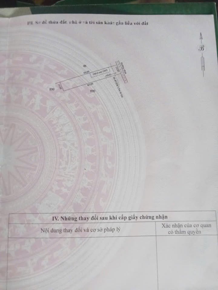 Đất nền mặt tiền đường nhựa 6000m² giá 400 triệu - Cơ hội đầu tư sinh lời!