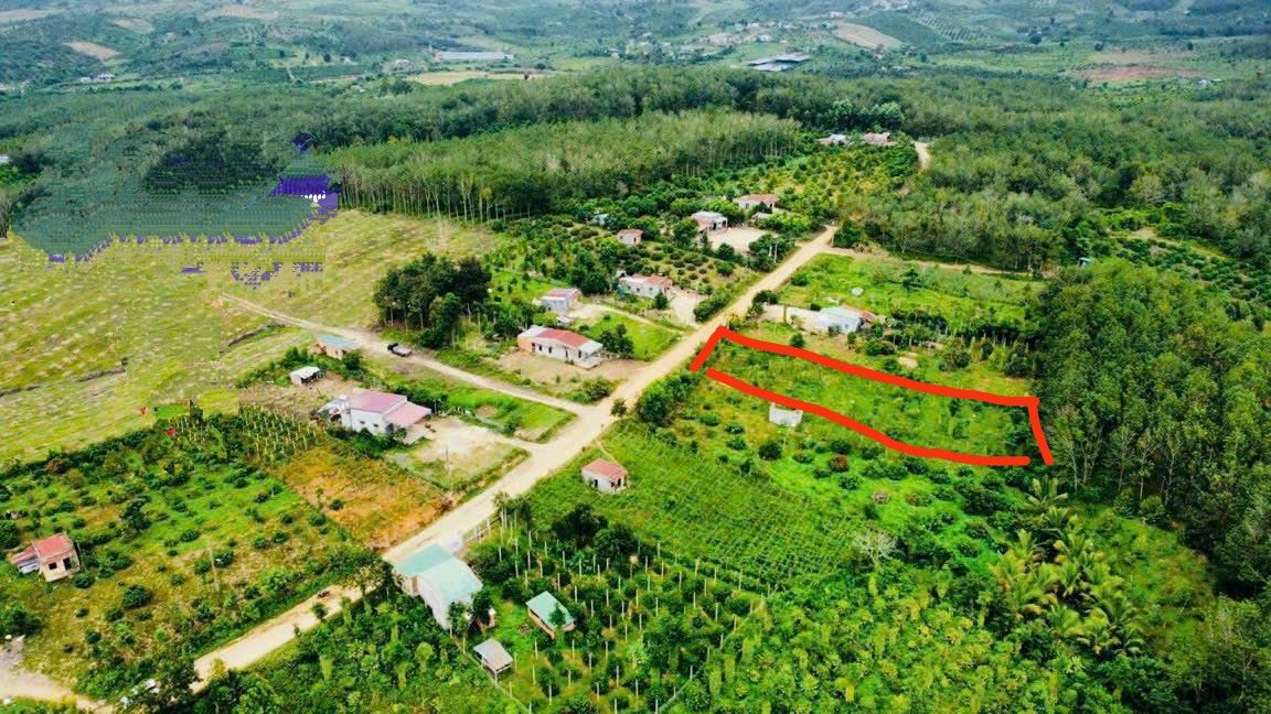 Đất nền Phú Xuân Đắk Lắk 1225m² giá 300 triệu - Cơ hội đầu tư hấp dẫn!