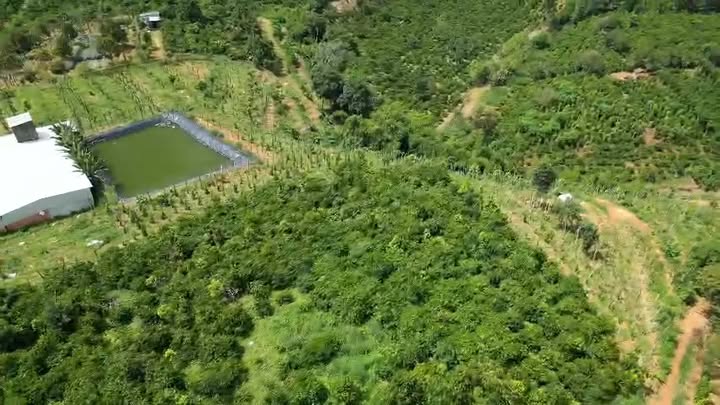 Farm Đắk Mâm 1ha giá 4.5 tỷ - Đầy đủ tiện nghi, sẵn sàng đầu tư!