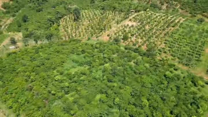 Đất Farm 1,4ha tại Đắk Mâm, Krông Nô - Giá chỉ 4,5 tỷ, đầy đủ giấy tờ!