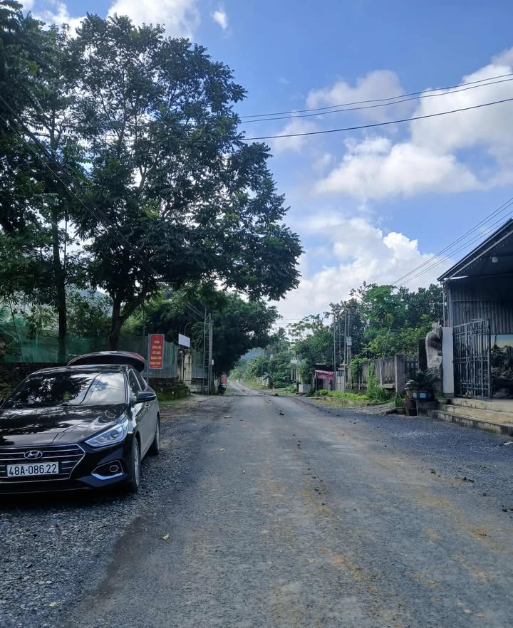 Đất nền Cẩm Quý, Cẩm Thủy 256m² giá chỉ 400 triệu - Khu dân cư sầm uất!