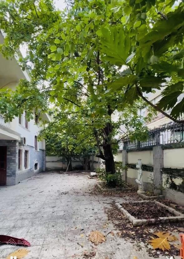 Cho thuê shophouse kinh doanh Thảo Điền 600m² giá 85 triệu - Khu vực sầm uất lý tưởng!