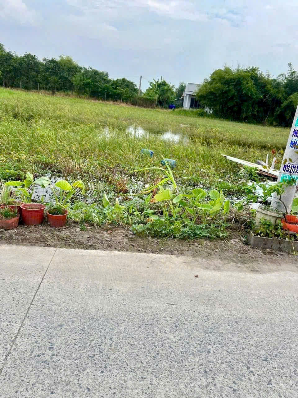 Đất nền thổ cư xã Đức Hòa Đông 121m² giá 1.2 tỷ - Đầu tư sinh lời ngay!