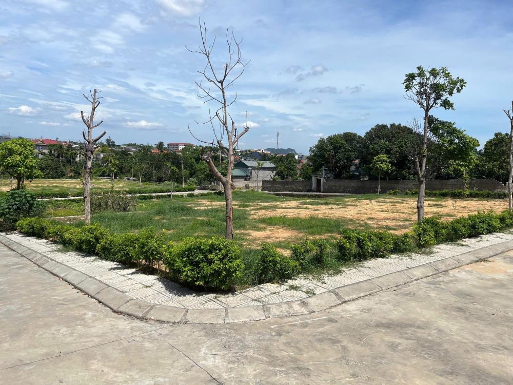 Đất ODT Full Thổ Cư 120m² tại Đông Triều - Chỉ 10 triệu/m², Sổ Hồng Sẵn Sàng!