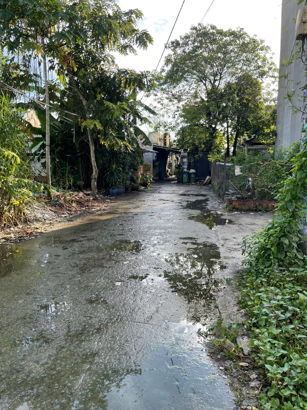 Đất nền Thạnh Xuân 125m² giá 6.5 tỷ - Sổ hồng riêng, pháp lý an toàn