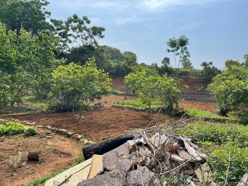 Đất nền Mộc Châu 796m² - Chính chủ bán gấp, giá thỏa thuận!