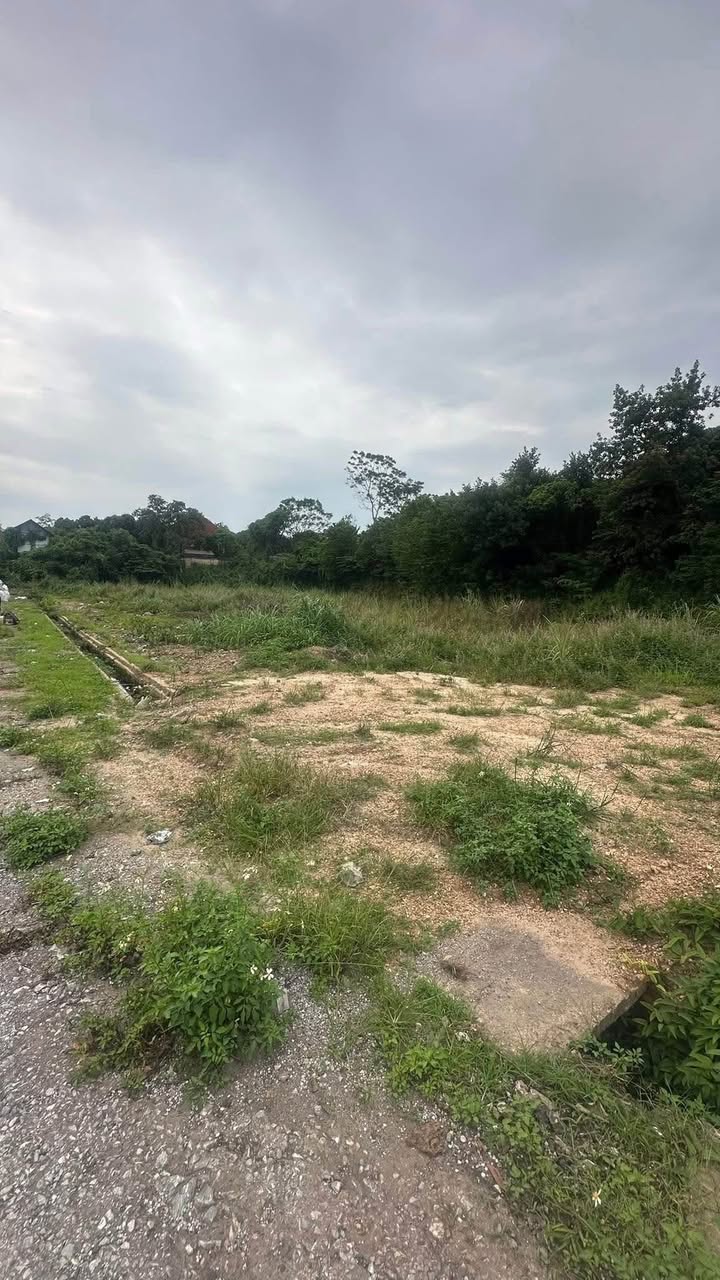 Cho thuê đất sản xuất công nghiệp tại Tân Lập, Thái Nguyên - Diện tích 3.000m², thuận lợi cho thuê