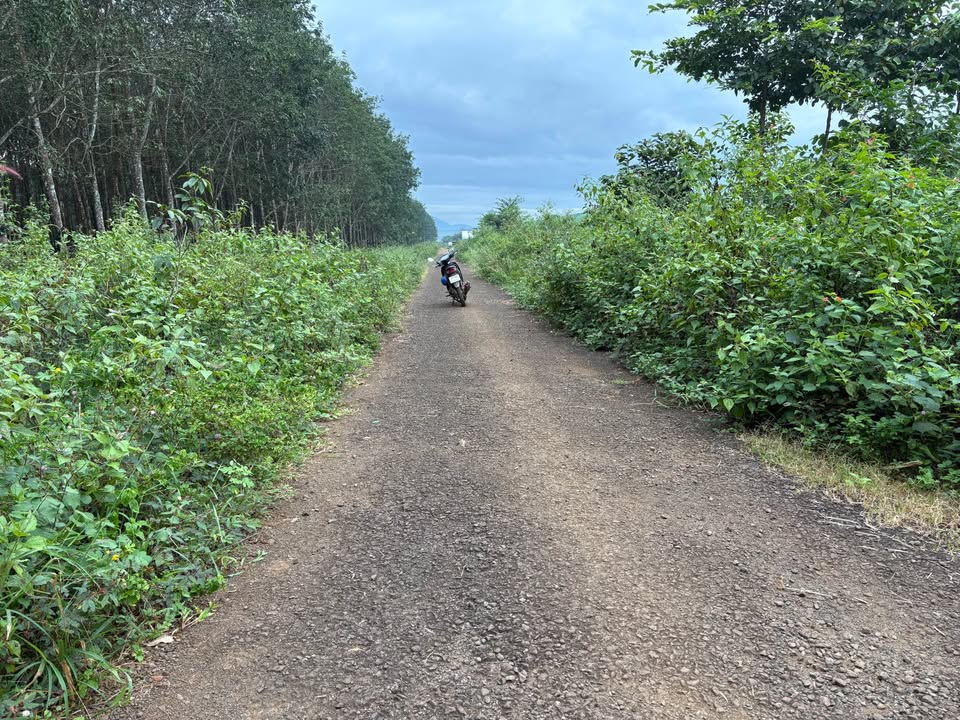 Đất thổ cư thôn 5 Nghĩa Hòa 180m² giá thỏa thuận - Đầu tư sinh lời tiềm năng!