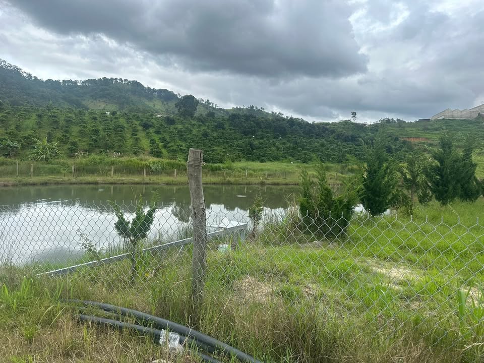 Đất Pang Tiên, Lạc Dương 1.5ha giá 3.6 tỷ - Sổ đỏ chính chủ, điện nước đầy đủ!