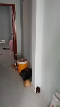 Nhà cho thuê Cần Giuộc Long An 3PN giá 4 triệu - Sẵn sàng vào ở!