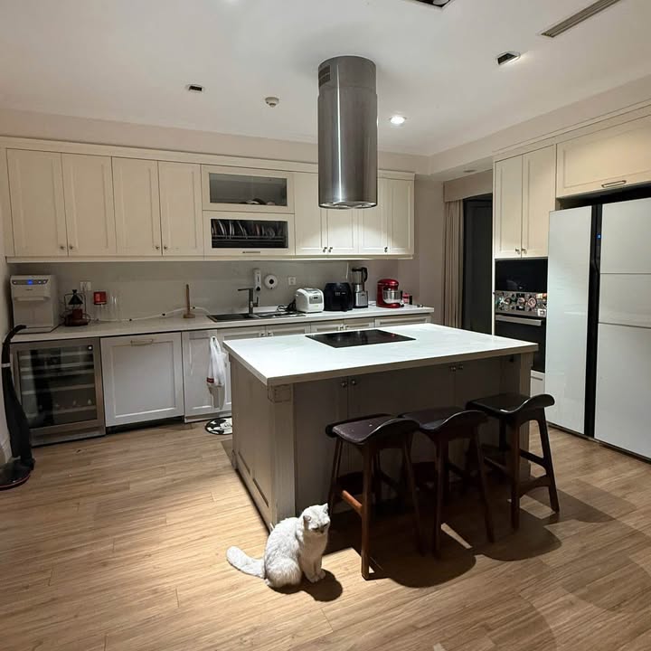 Căn hộ 3PN Times City Vĩnh Tuy 110m² giá 19 triệu - Nhà mới đẹp, view thoáng!