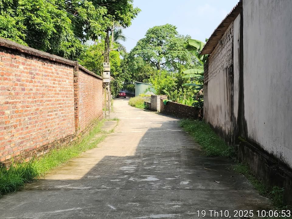 Đất thổ cư 300m² tại Danh Thắng, Hiệp Hòa chỉ 1 tỷ - Cơ hội đầu tư tuyệt vời!