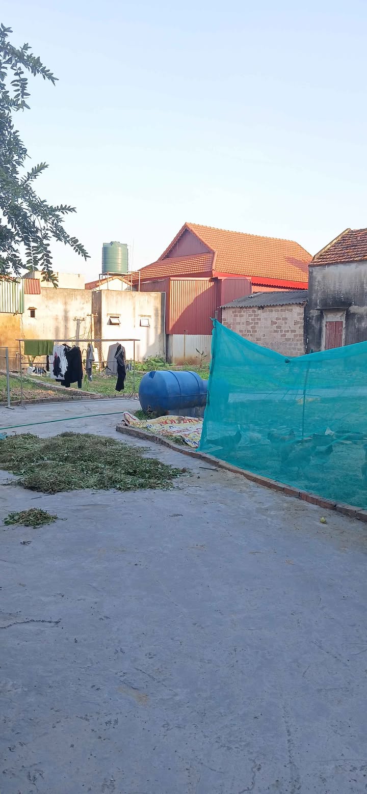 Đất nền Dương Quang, Mỹ Hào 55m² giá chỉ vài trăm triệu - Cơ hội đầu tư hiếm có!