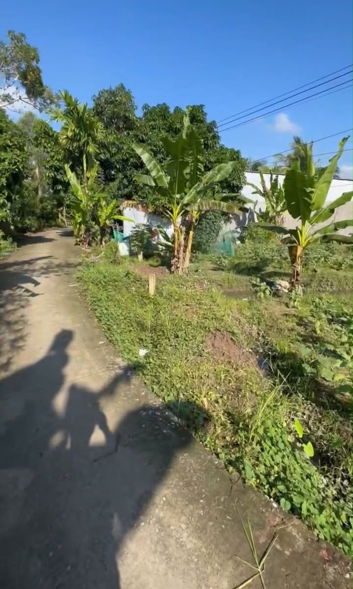 Đất nền Nhơn Nghĩa Phong Điền 160m² giá 590 triệu - Pháp lý rõ ràng, đầu tư sinh lời!