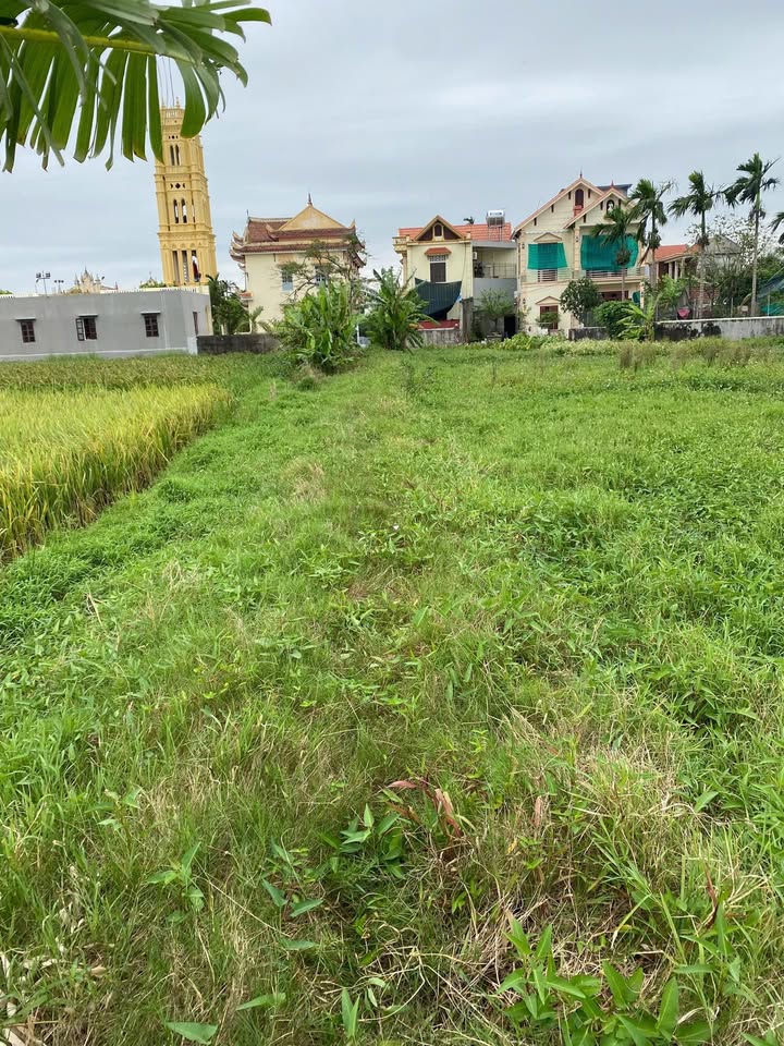 Lô đất đẹp tại Xuân Phương, Xuân Trường 218m² - Đầu tư lý tưởng!