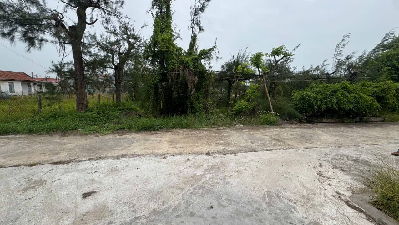 Đất nền khu phố 18 Thịnh Long 132m² - Vị trí sát Trường Cấp 3