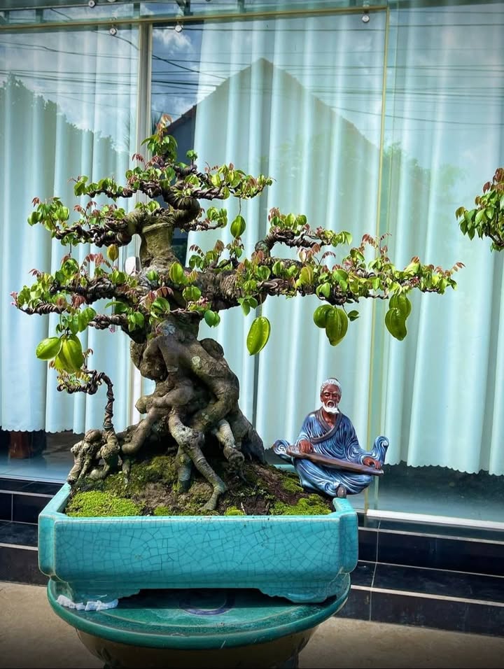 Đất nền Cát Tiến 150m² giá 1.4 tỷ - Cơ hội đầu tư không thể bỏ lỡ!