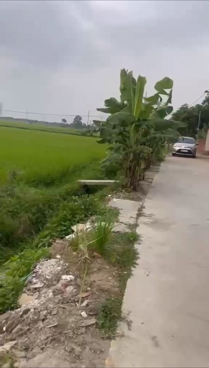 Đất nền lô góc 106m² Tiến Dũng - Yên Dũng giá 1 tỷ - Tiềm năng đầu tư lớn!