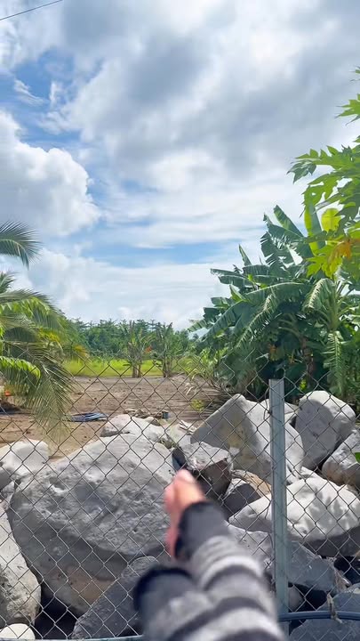 Đất thổ cư Nghĩa Thành, Châu Đức 220m² giá 690 triệu - Cơ hội đầu tư hấp dẫn!