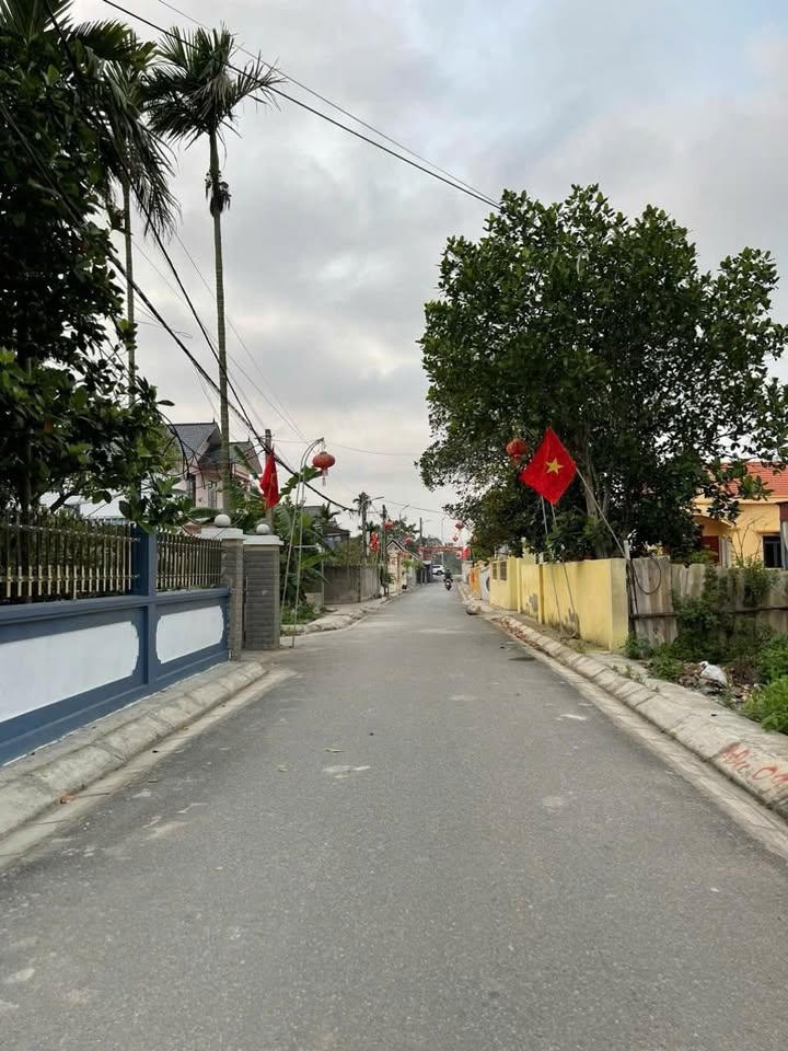 Đất thổ cư 260m² tại khu phố Quang Trung, Đồ Sơn giá chỉ 2 tỷ - Cơ hội đầu tư tuyệt vời!