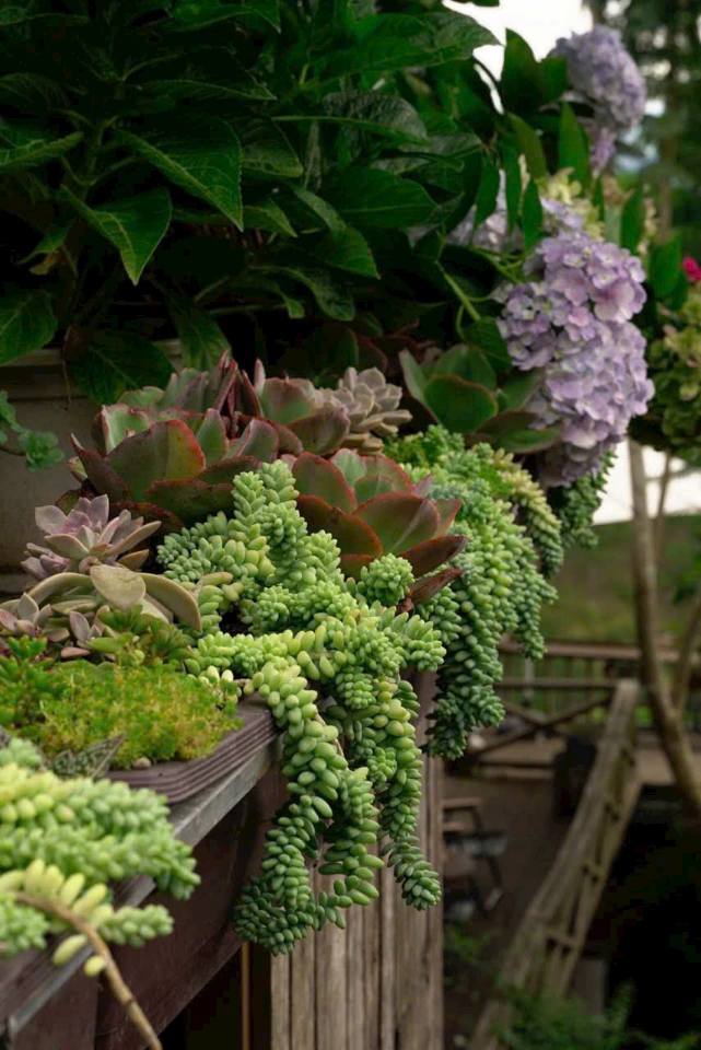 Đất nền Phước Long Thọ, Đất Đỏ, Bà Rịa - Vũng Tàu 9.300m² chỉ 3.155 tỷ - Cơ hội đầu tư tuyệt vời!