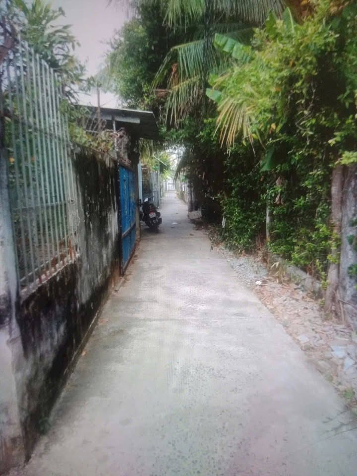 Nhà bán Sơn Đông Bến Tre 255m² giá 900 triệu - Sẵn sàng vào ở ngay!