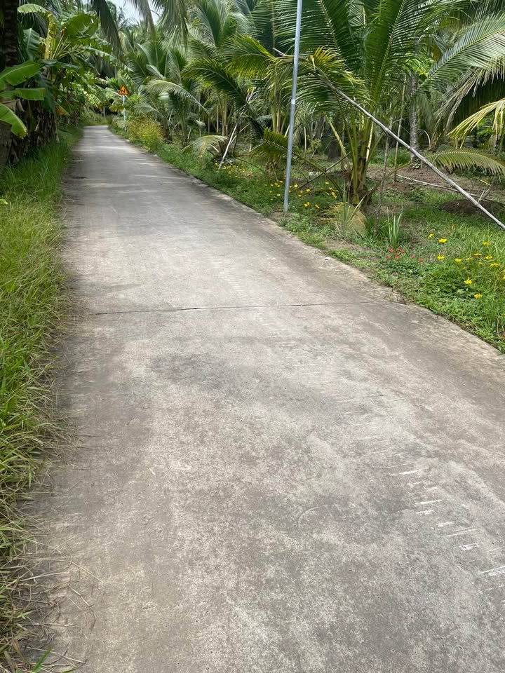 Đất thổ cư 1000m² tại xã Quới Điền, Thạnh Phú, giá 850 triệu - Cơ hội đầu tư lý tưởng!