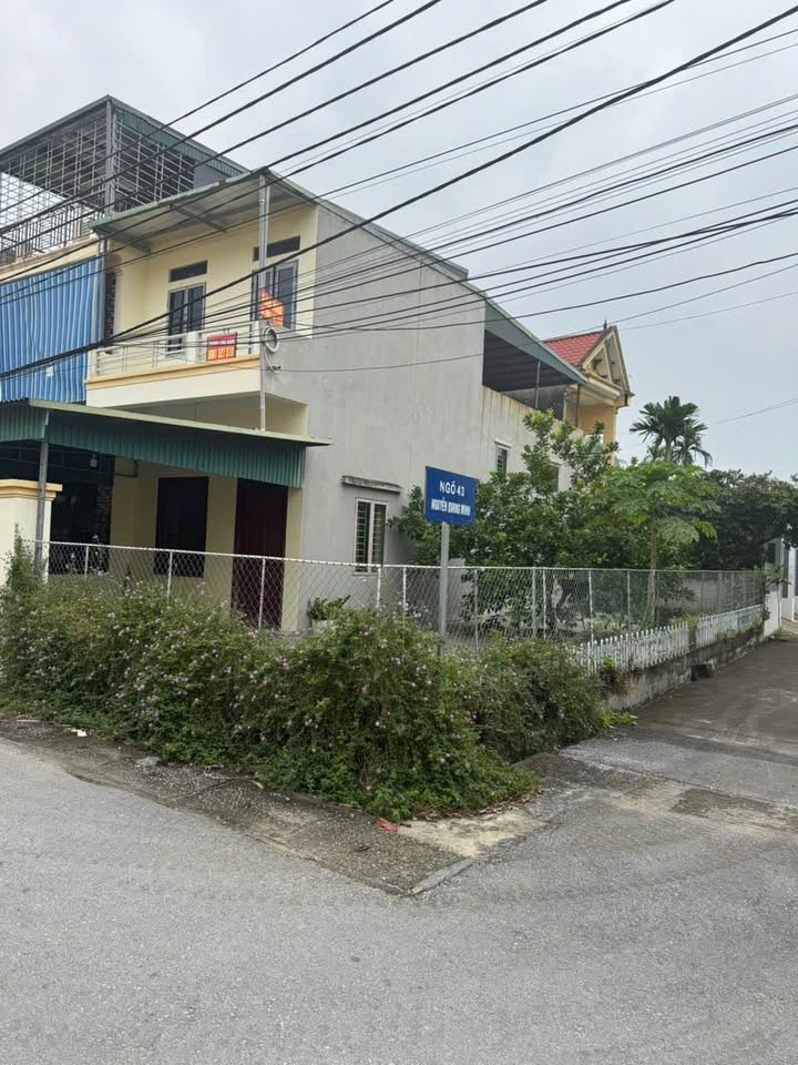 Đất nền 2 mặt tiền Tân Phong 99m² giá 1 tỷ - Đường ô tô vào tận nơi!