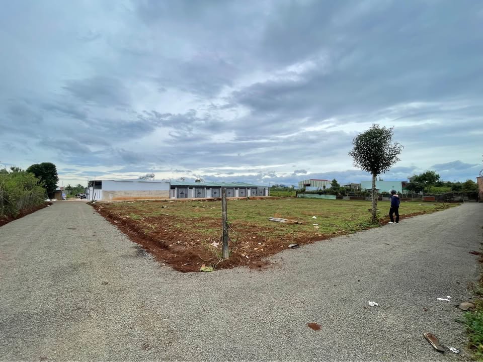 Đất tại Hẻm 46 Nguyễn Kiệm, Pleiku 100m² - Tiềm năng sinh lời cao!