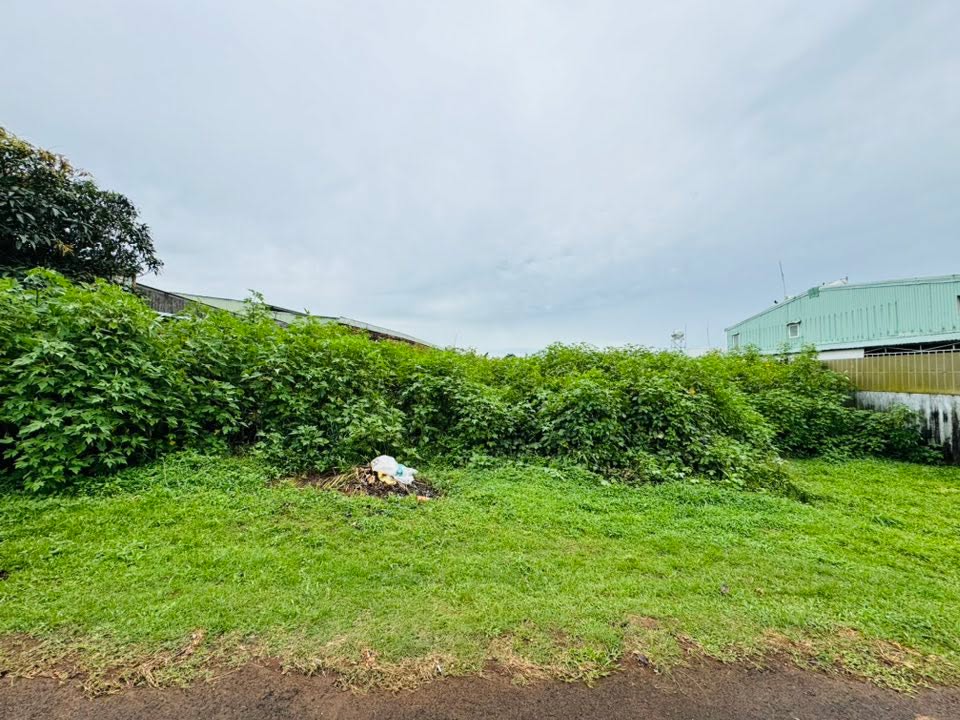 Đất hẻm Trần Xuân Soạn Pleiku 225m² giá 1.699 tỷ - Đầu tư sinh lời ngay!