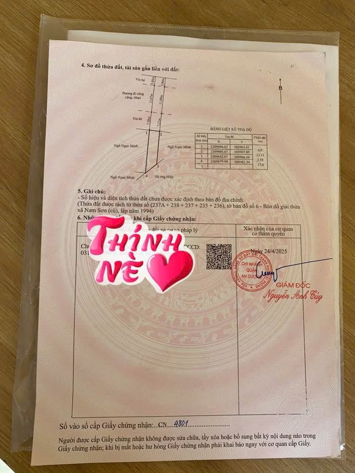 Đất nền Nam Sơn, An Dương 60m² giá 2.6 tỷ - Mặt đường xe công chạy thoải mái!