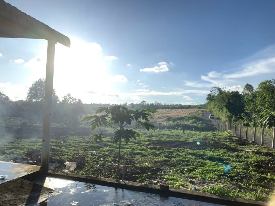 Đất tặng nhà tại xã Bầu Chinh, Châu Đức 1390m² giá 1,2 tỷ - Cơ hội đầu tư tuyệt vời!