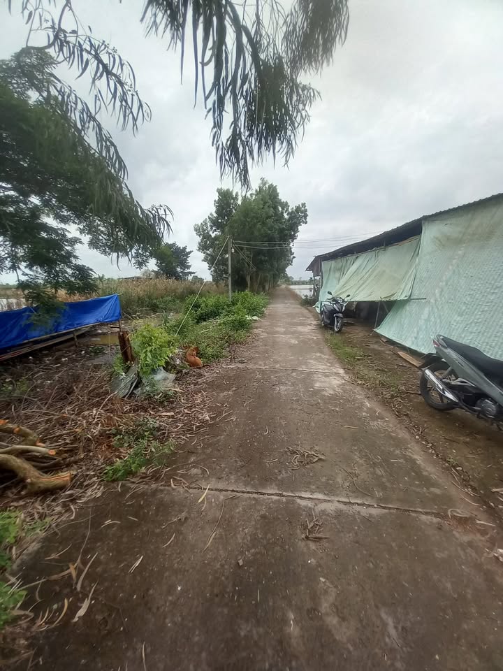 Đất nông nghiệp 2.9 công tại Trường Khánh, Sóc Trăng - Giá chỉ 1.044 tỷ!