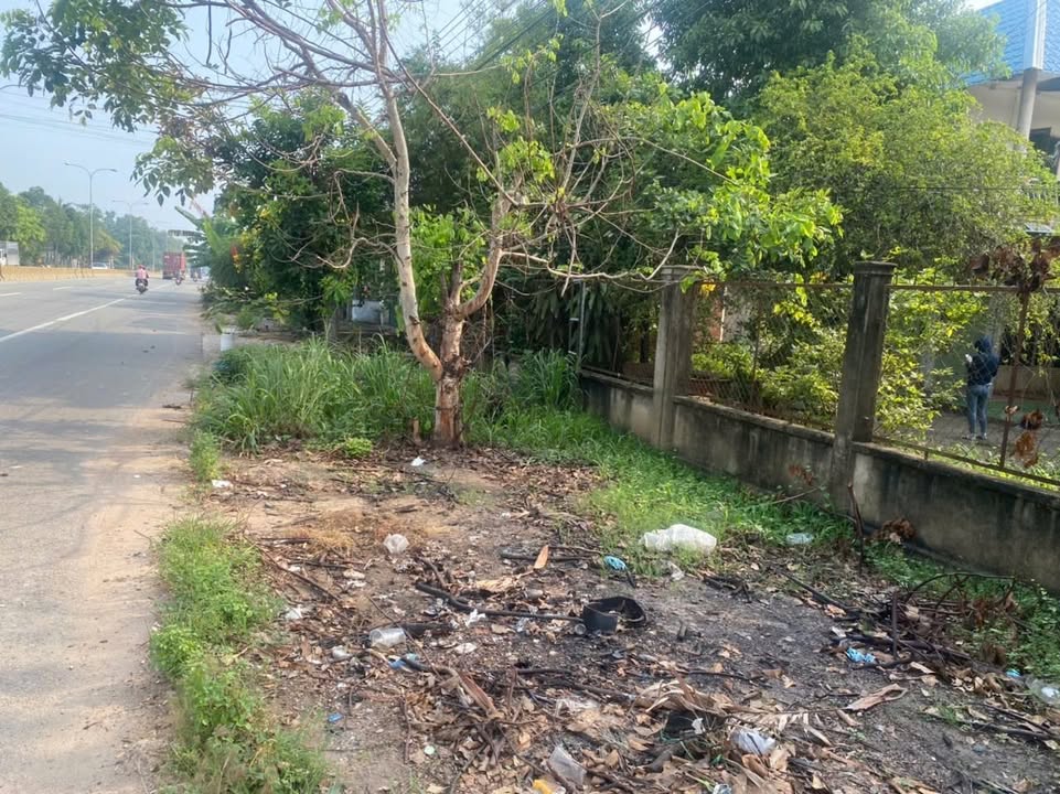 Mặt tiền Quốc lộ 13 Bàu Bàng 2134m² - Đầu tư sinh lời nhanh chóng!