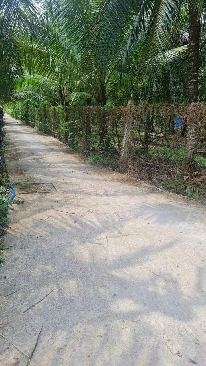 Đất nền Phú Tân, Bến Tre 100m² giá 650 triệu - Cơ hội đầu tư tốt!